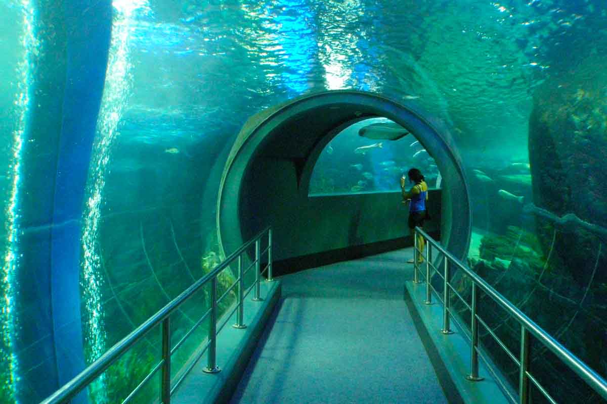 Melbourne Aquarium <br/> Top Function Venues