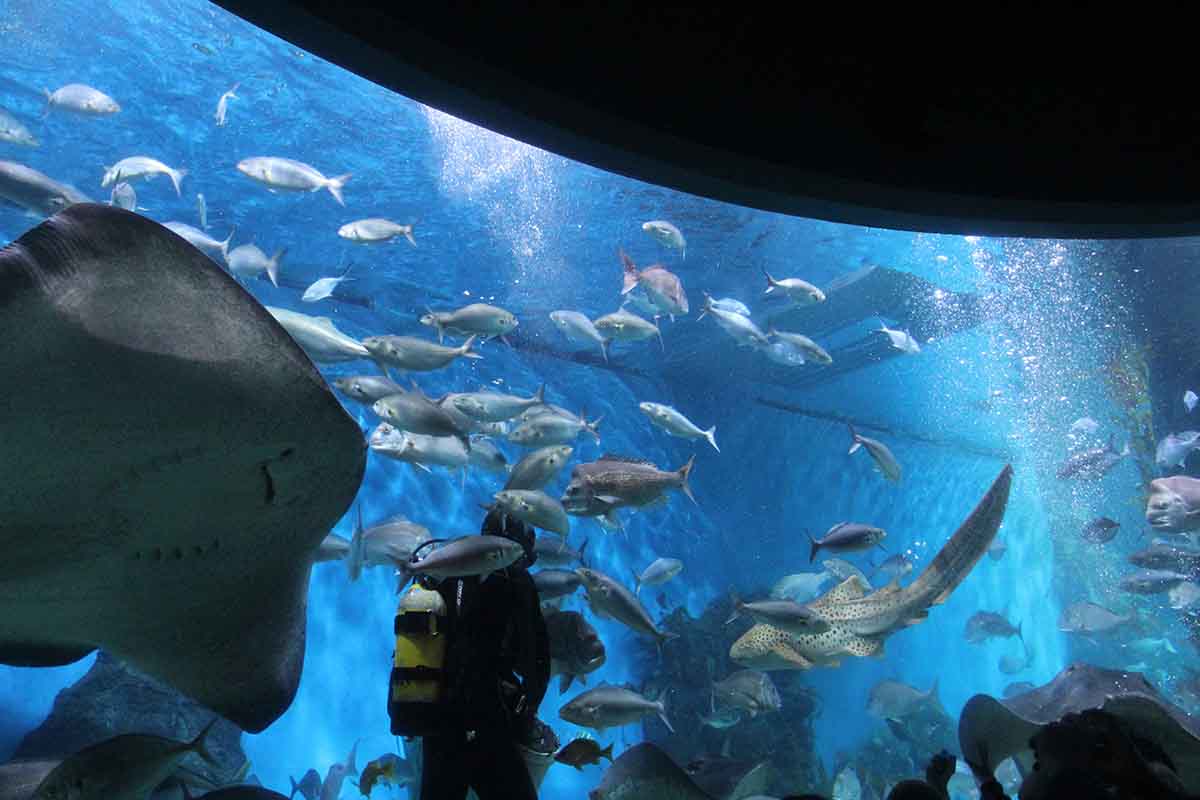 Melbourne Aquarium <br/> Top Function Venues