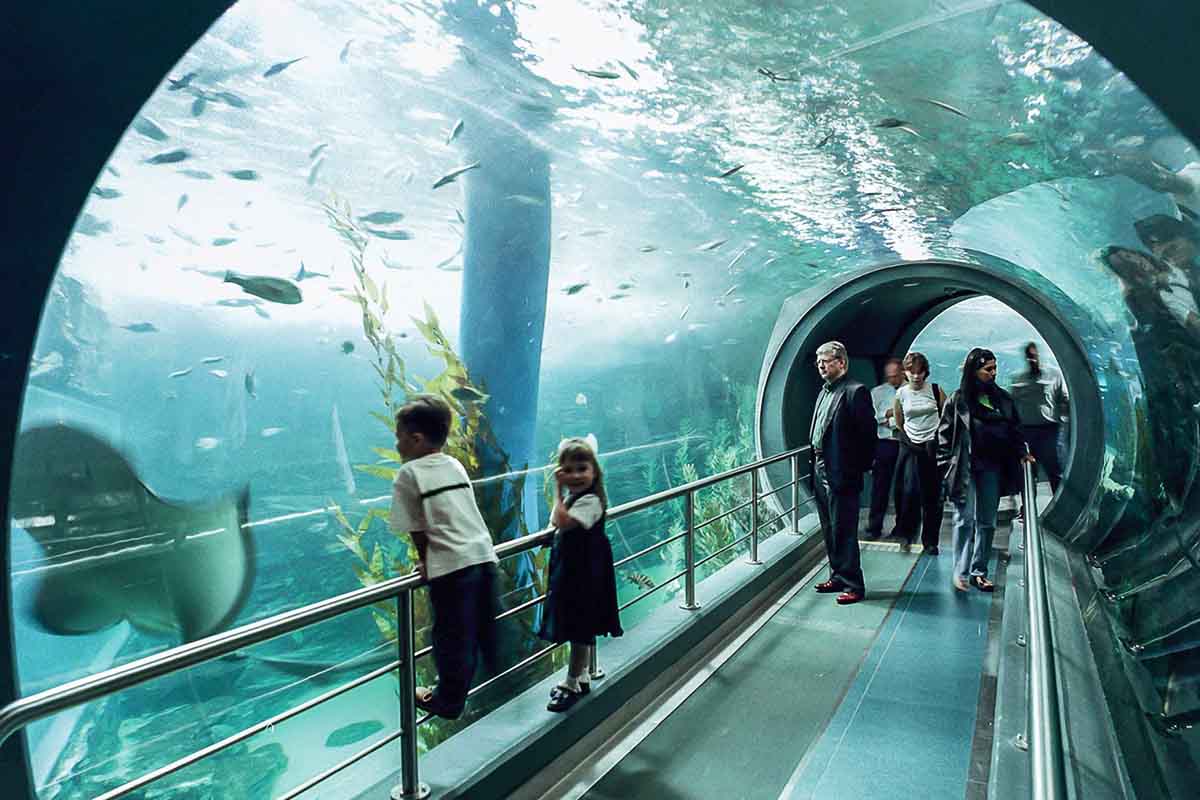 Melbourne Aquarium <br/> Top Function Venues