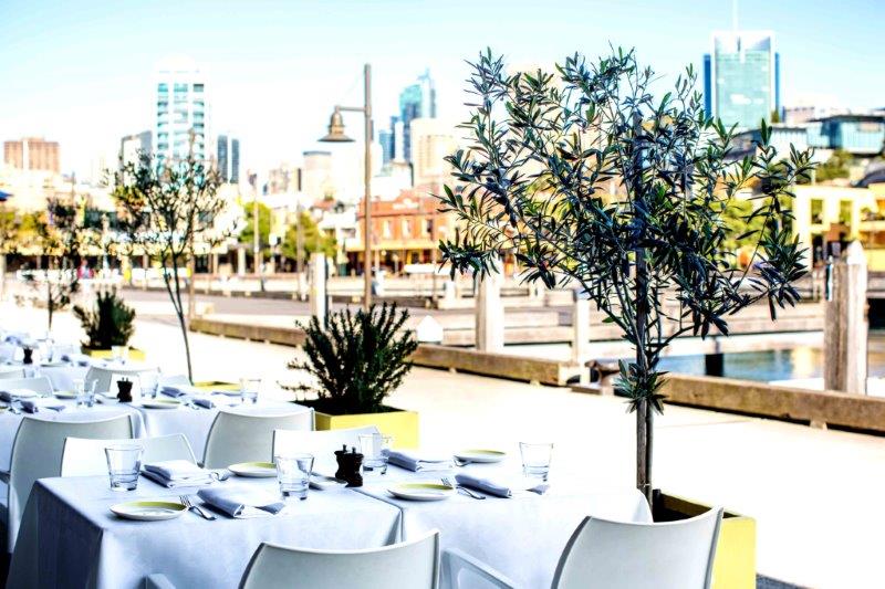 ottorestaurantwoolloomooloorestaurantssydneydiningbesttopgood