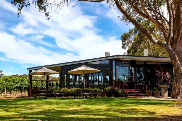 kneedeepwinesrestaurantmargaretriverwilyabrupcellardoorwinery