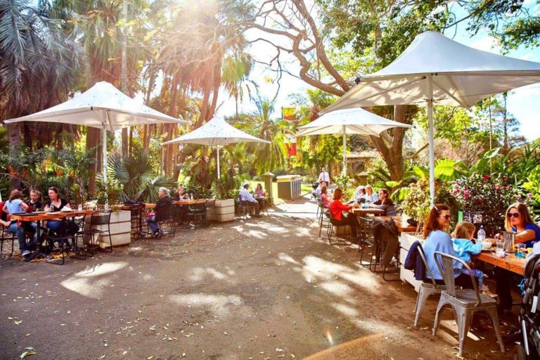 Botanic-Gardens-Restaurant-Sydney-Restaurants-CBD-Cafe-Cafes-Top-Best