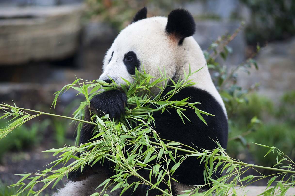 Adelaide Zoo Function Venues South Australia Rooms CBD Venue Hire Party Room Birthday Corporate Event 12 1