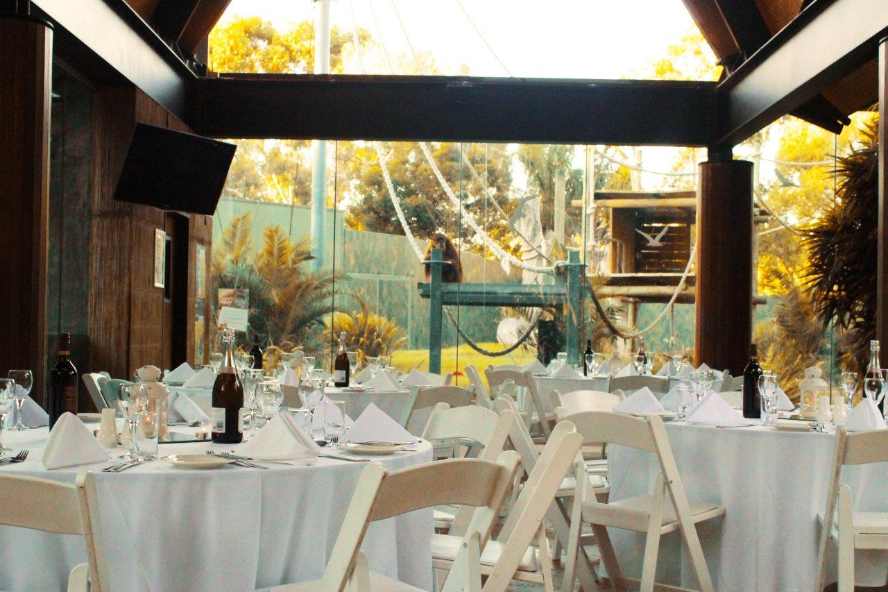 Adelaide Zoo Function Venues South Australia Rooms CBD Venue Hire Party Room Birthday Corporate Event 3 1