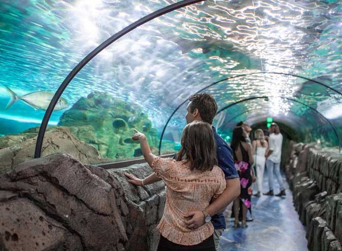 Sea Life Sydney Aquarium <br/> Unique Function Rooms