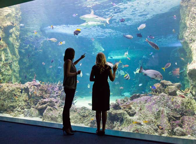 Sea Life Sydney Aquarium <br/> Top Function Venues