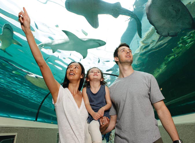 Sea Life Sydney Aquarium <br/> Top Function Venues
