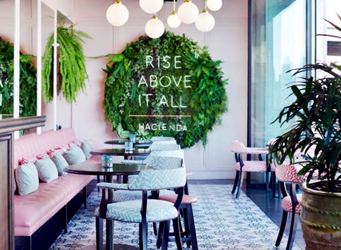 5 Hacienda Sydney Waterside Waterfront Popular Bars Bar Best Good Great Top Garden Cocktails Modern Vintage Glamourous Harbour Vista