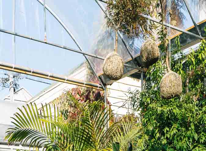 Glasshaus Outside Nursery Function Venues Melbourne Rooms Richmond Venue Hire Party Room Birthday Corporate Cocktail Wedding Outdoor Small Event 004 1