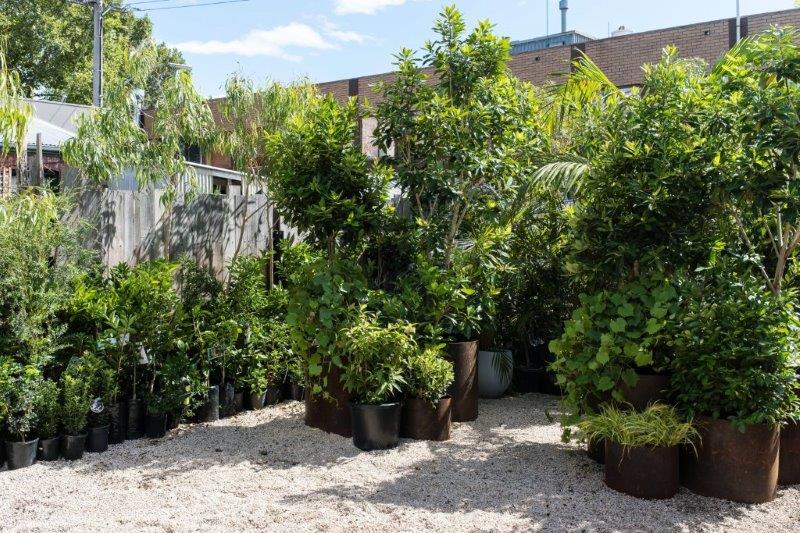 Glasshaus Outside Nursery Function Venues Melbourne Rooms Richmond Venue Hire Party Room Birthday Corporate Cocktail Wedding Outdoor Small Event 004