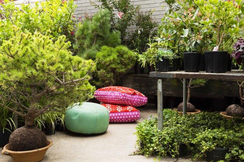 Glasshaus Outside Nursery Function Venues Melbourne Rooms Richmond Venue Hire Party Room Birthday Corporate Cocktail Wedding Outdoor Small Event 012