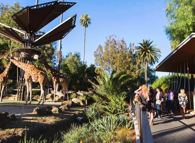 Melbourne Zoo <br/> Amazing Outdoor Venues