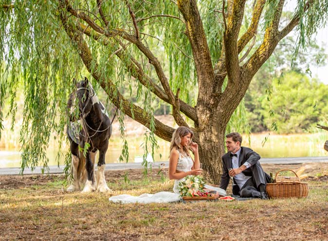 The Grove Hidden Valley Wallan Victoria Melbourne Regional function event venues room hire birthday wedding engagement corporate seminar meeting team events 1