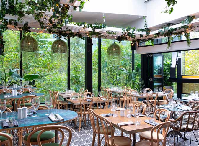 Green Moustache North Sydney bar bars cocktail group outdoor courtyard rooftop top best large drinks late night after work 001