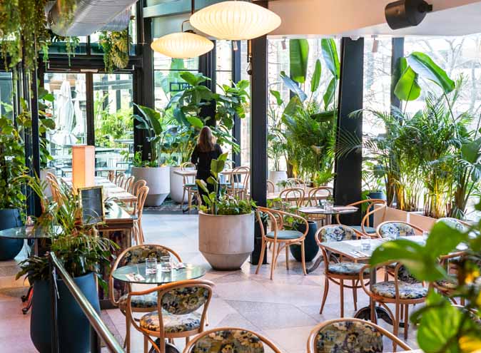 Green Moustache North Sydney function venues events birthday large top outdoor corporate catering functions hire room venue dining launch 001 12