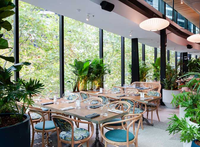 Green Moustache North Sydney restaurant restaurants australian food brekafast lunch brunch bottomless outdoor fine nice top 002