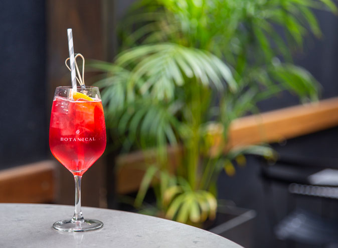 Botanical Hotel South Yarra Melbourne bar bars cocktails wine classy drinks outdoor client date fancy 011