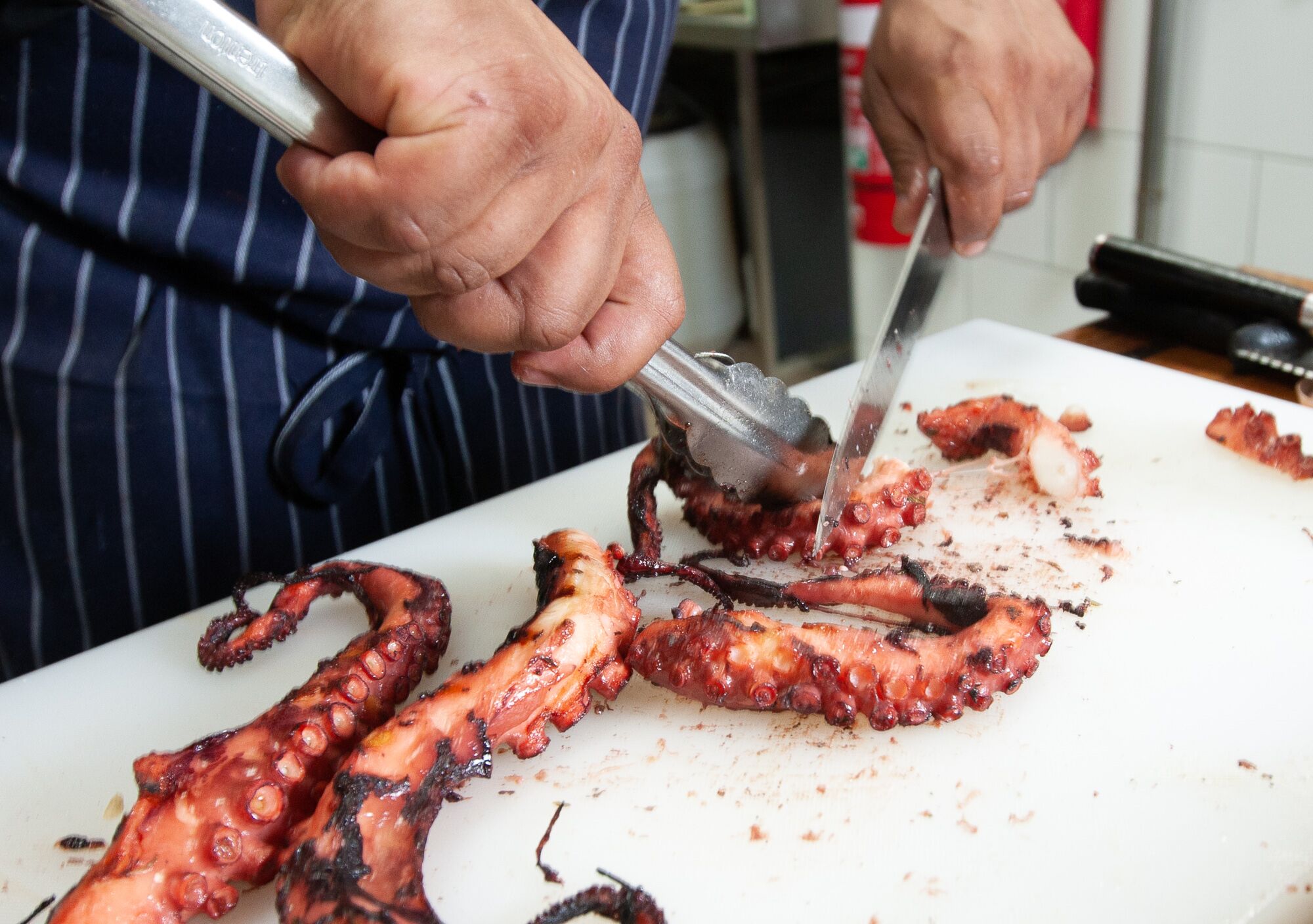 el matador brisbane chef octopus spanish tapas new opening seafood