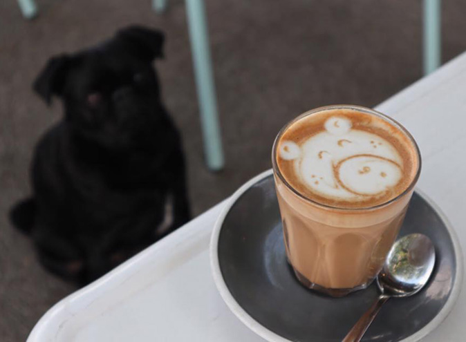 Punchbowl Canteen Port Melbourne Dog Friendly Cafe Dogs 1 1