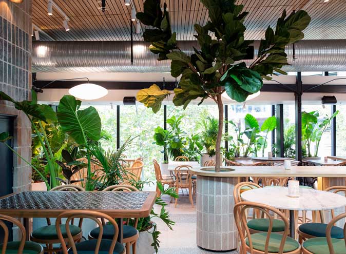 Green Moustache North Sydney restaurant restaurants australian food brekafast lunch brunch bottomless outdoor fine nice top 001 11