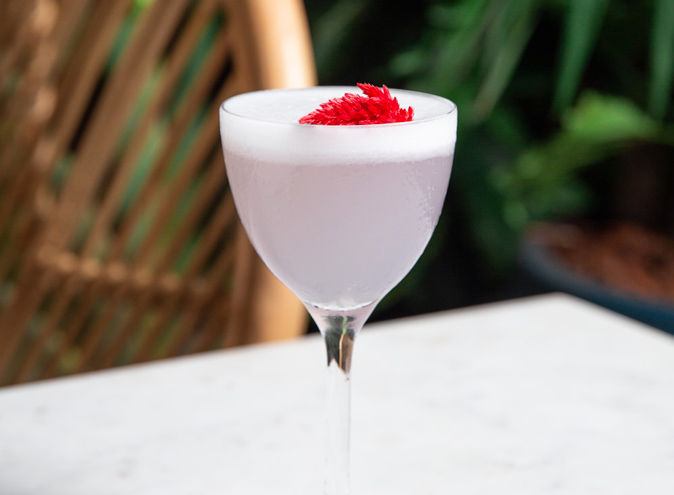 Green Moustache North Sydney restaurant restaurants australian food brekafast lunch brunch bottomless outdoor fine nice top 001 13