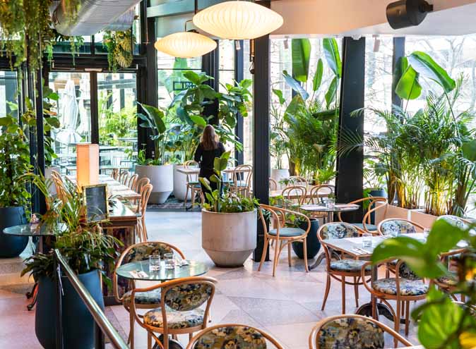 Green Moustache North Sydney restaurant restaurants australian food brekafast lunch brunch bottomless outdoor fine nice top 001 16 1