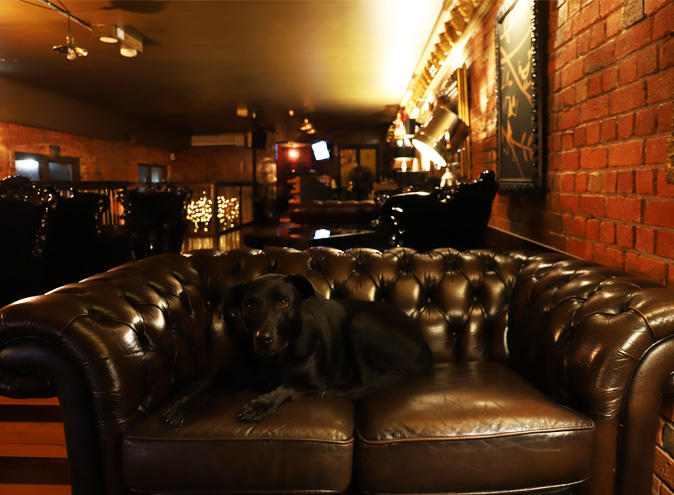 The Noble Experiment bar Collingwood bars top best good whiskey cool intimate date underground speakeasy hidden laneway cocktail updated 2022 1