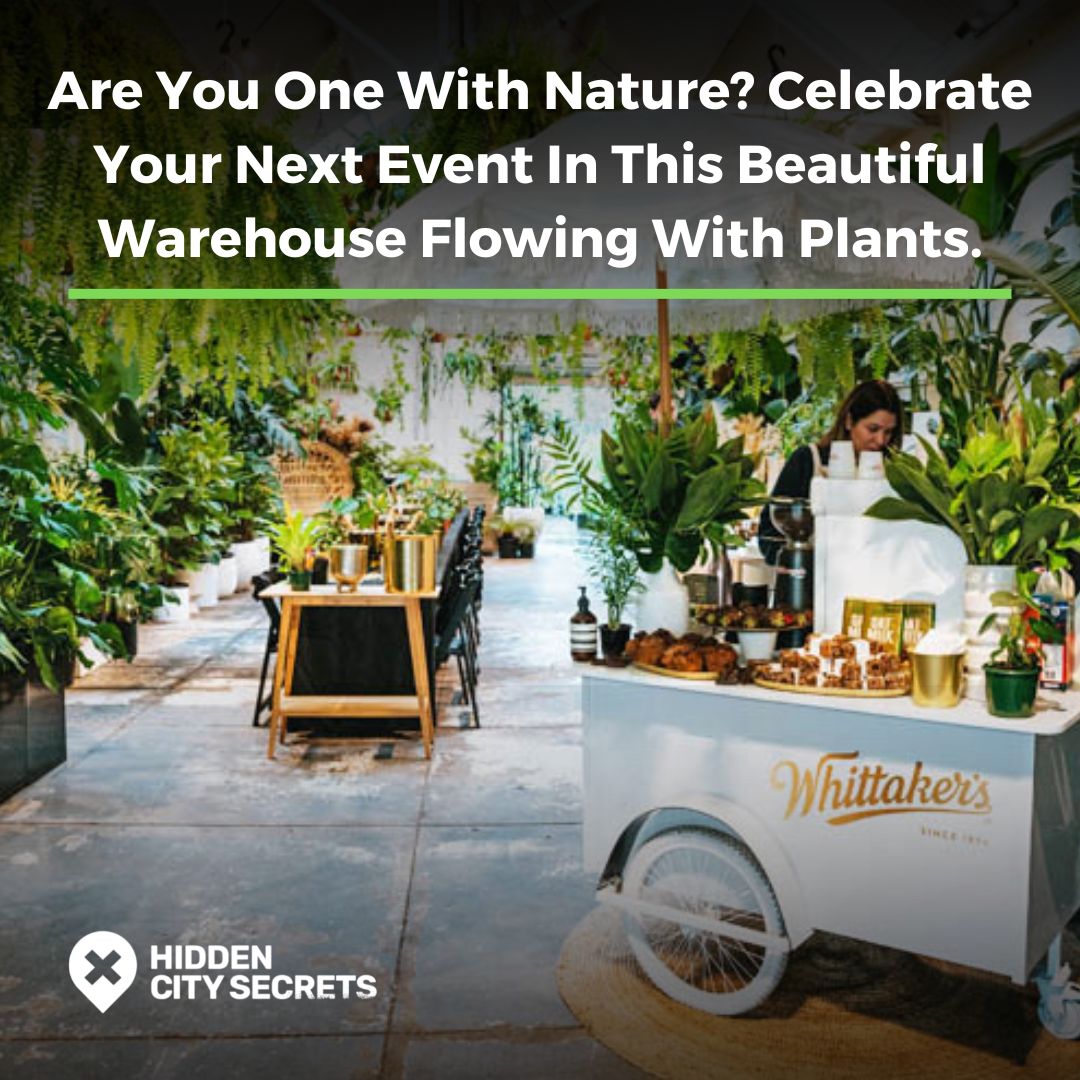 Botanicah-Function-Venues-Melbourne-Venue-Hire-Prahran-Rooms-Wedding-Cocktail-Corporate-Event-Birthday-Party-Engagement-Product-Launch-Room-Warehouse-Instagram Botanicah Function Venues Melbourne Venue Hire Prahran Rooms Wedding Cocktail Corporate Event Birthday Party Engagement Product Launch Room Warehouse Instagram