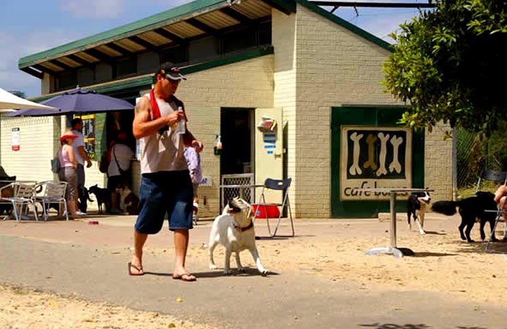 Cafe Bones <br/>Dog Friendly Cafes