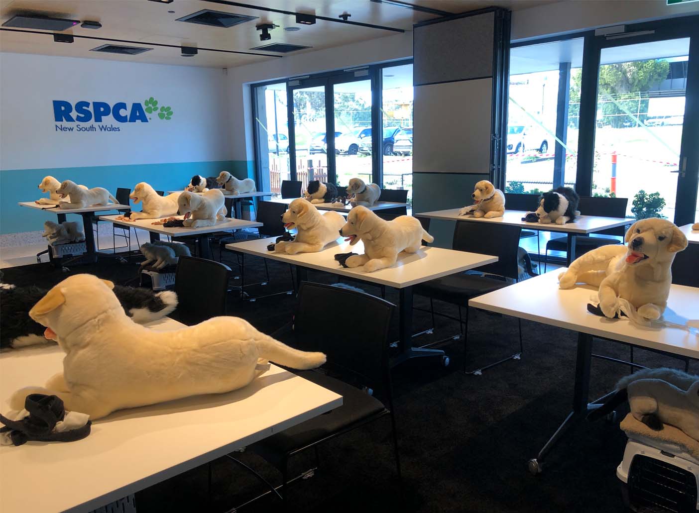 RSPCA NSW Education Centre <br> State-Of-The-Art Venues