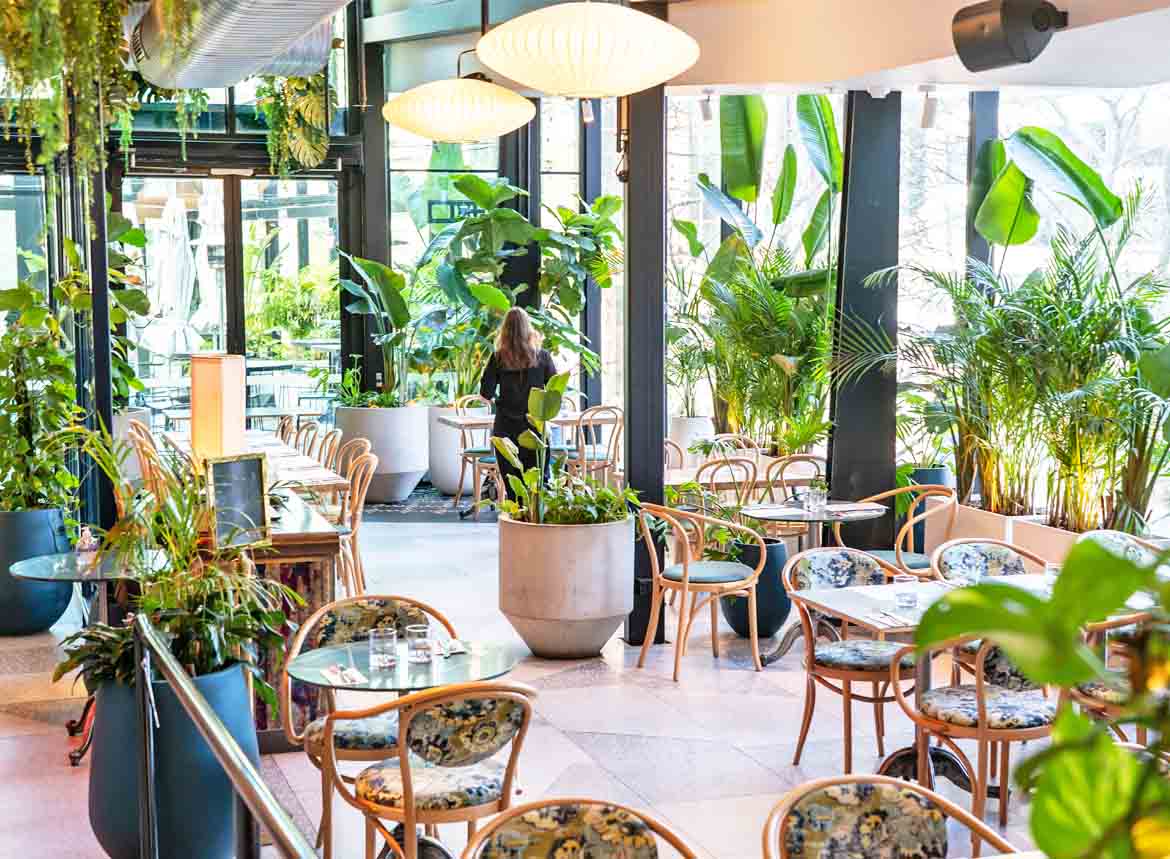 Green Moustache North Sydney restaurant restaurants australian food brekafast lunch brunch bottomless outdoor fine nice top (31)