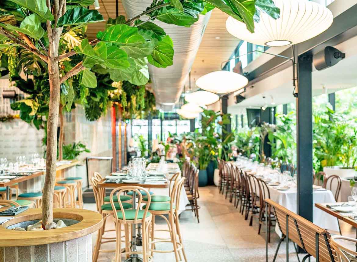 Green Moustache North Sydney restaurant restaurants australian food brekafast lunch brunch bottomless outdoor fine nice top (32)