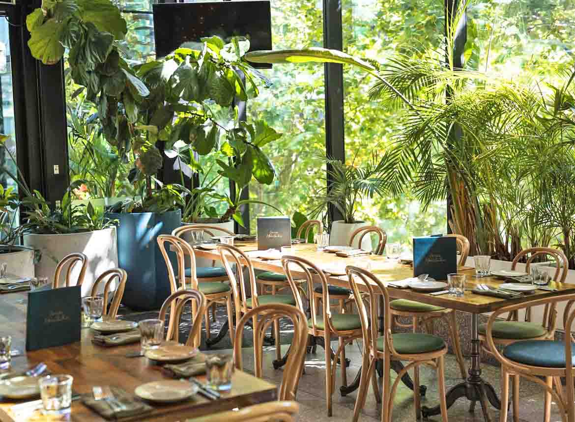 Green Moustache North Sydney restaurant restaurants australian food brekafast lunch brunch bottomless outdoor fine nice top (33)