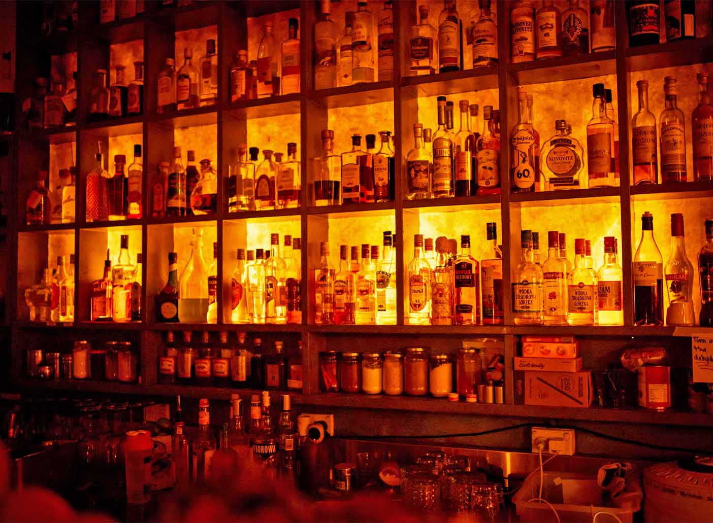 Borsch, Vodka & Tears