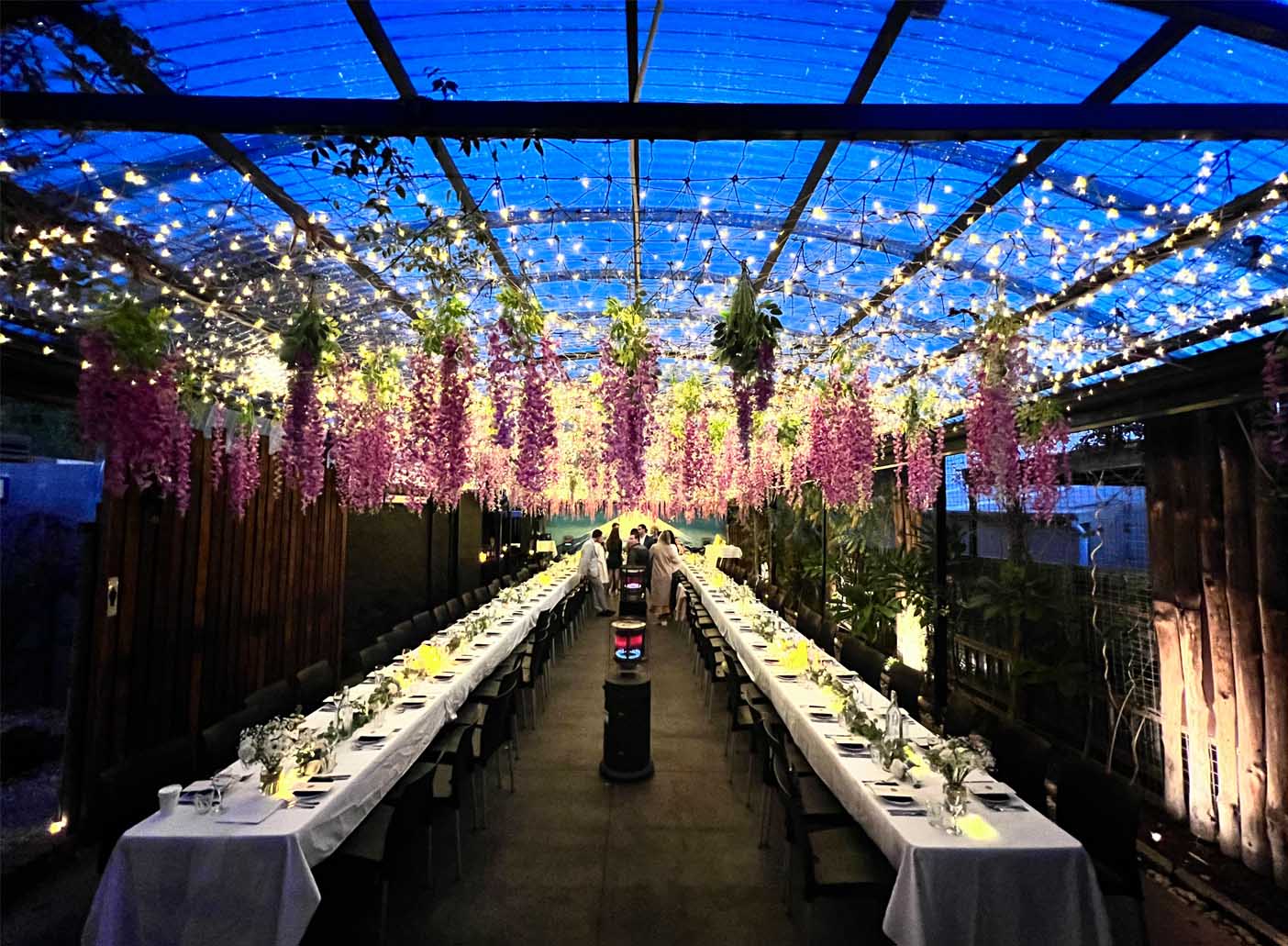 Tsunami Japanese Restaurant