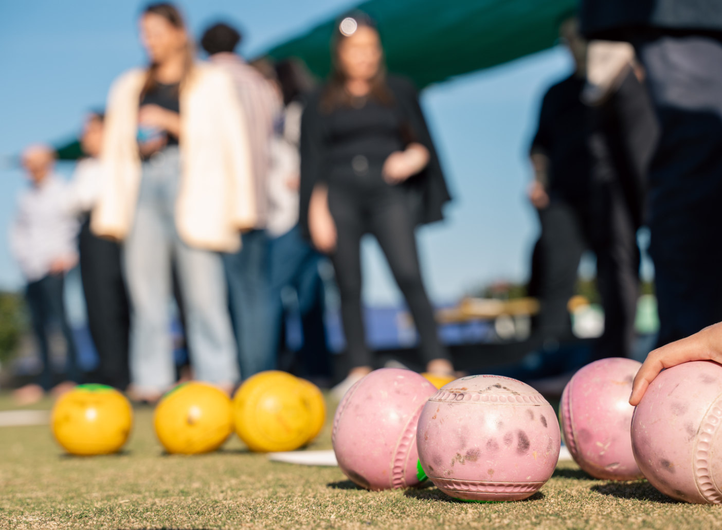 The Greens North Sydney