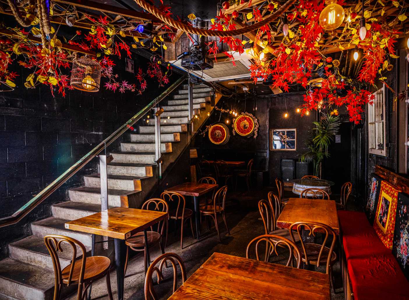 Bar Hanami